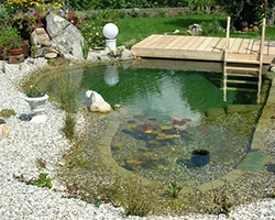 Teichbau